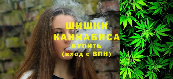 mix Козельск