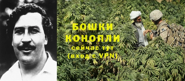 стафф Кинешма